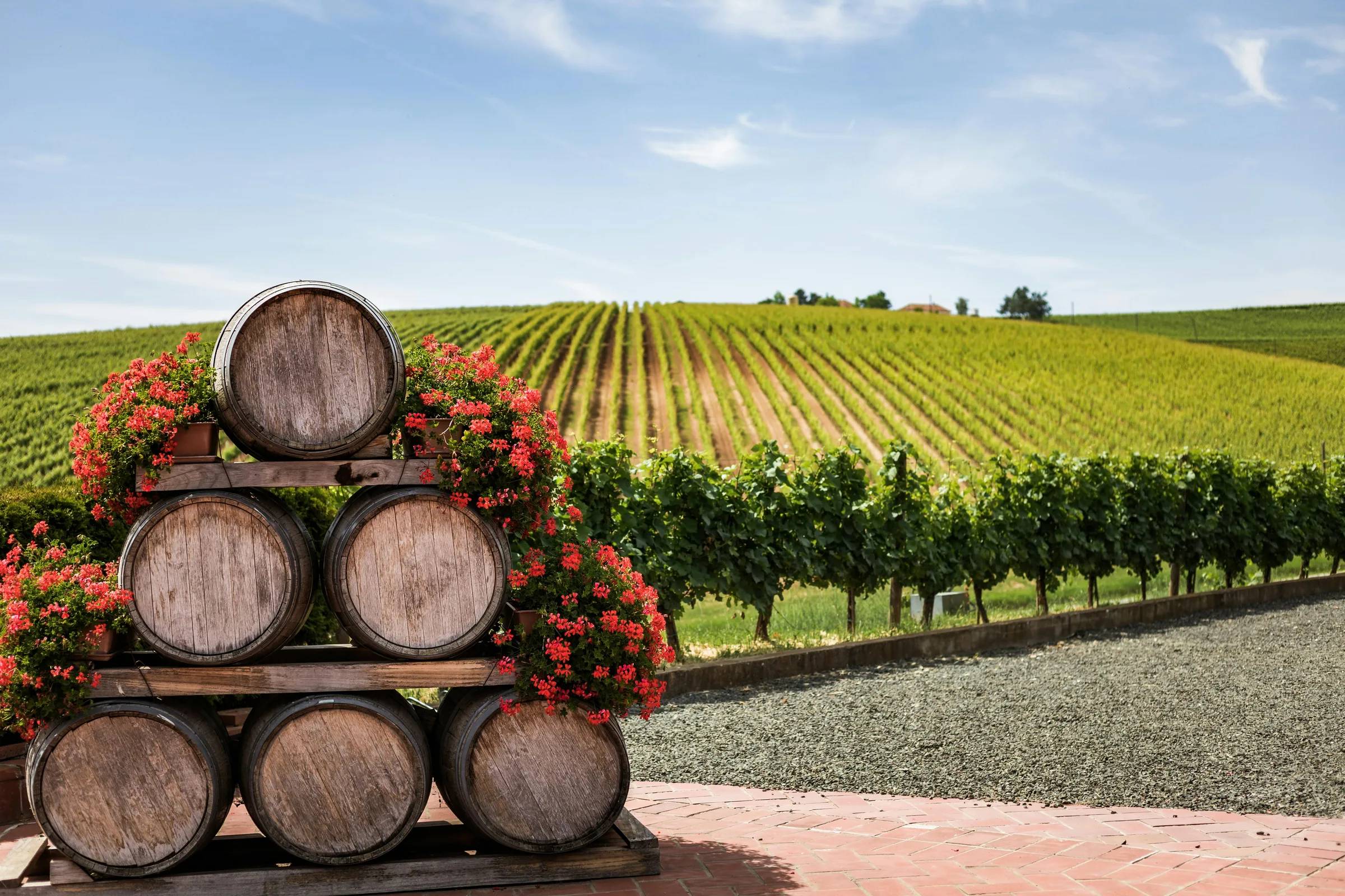Tres vinos bien calificados y accesibles para maridar como un experto: Dos mexicanos y un vino brasileño que vale la pena probar