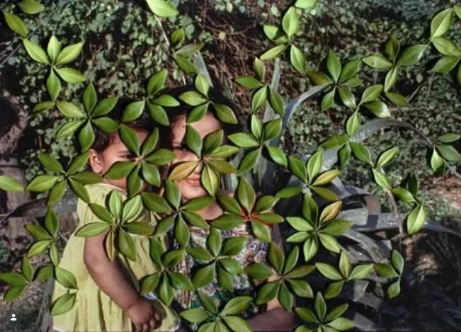 Leica impulsa el talento femenino con la LOBA Women Grant