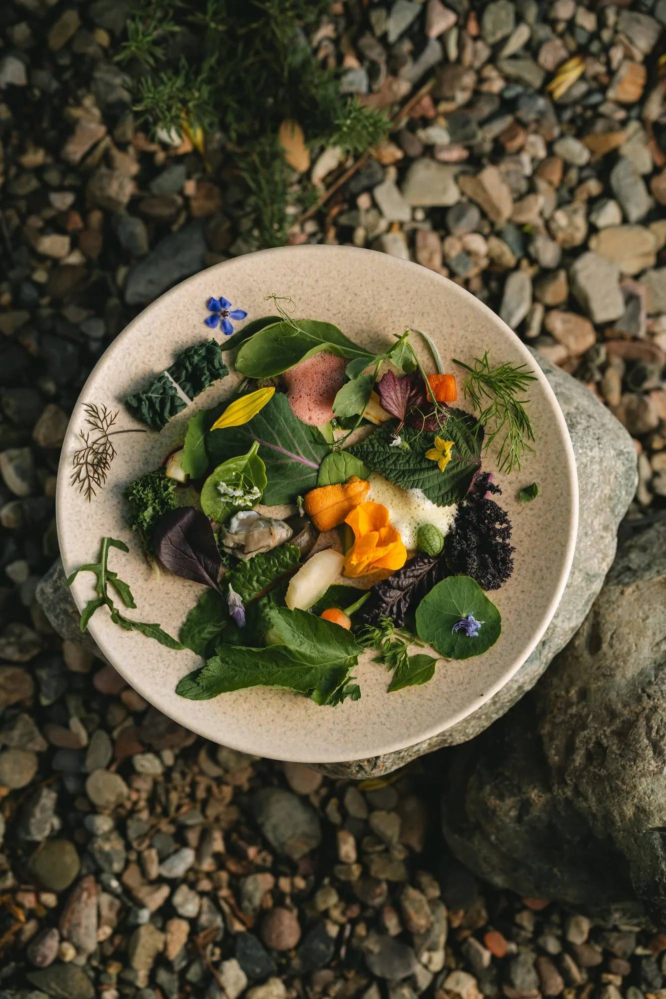 La Sostenibilidad Visible: El Nuevo Lujo en la Gastronomía del Siglo XXI