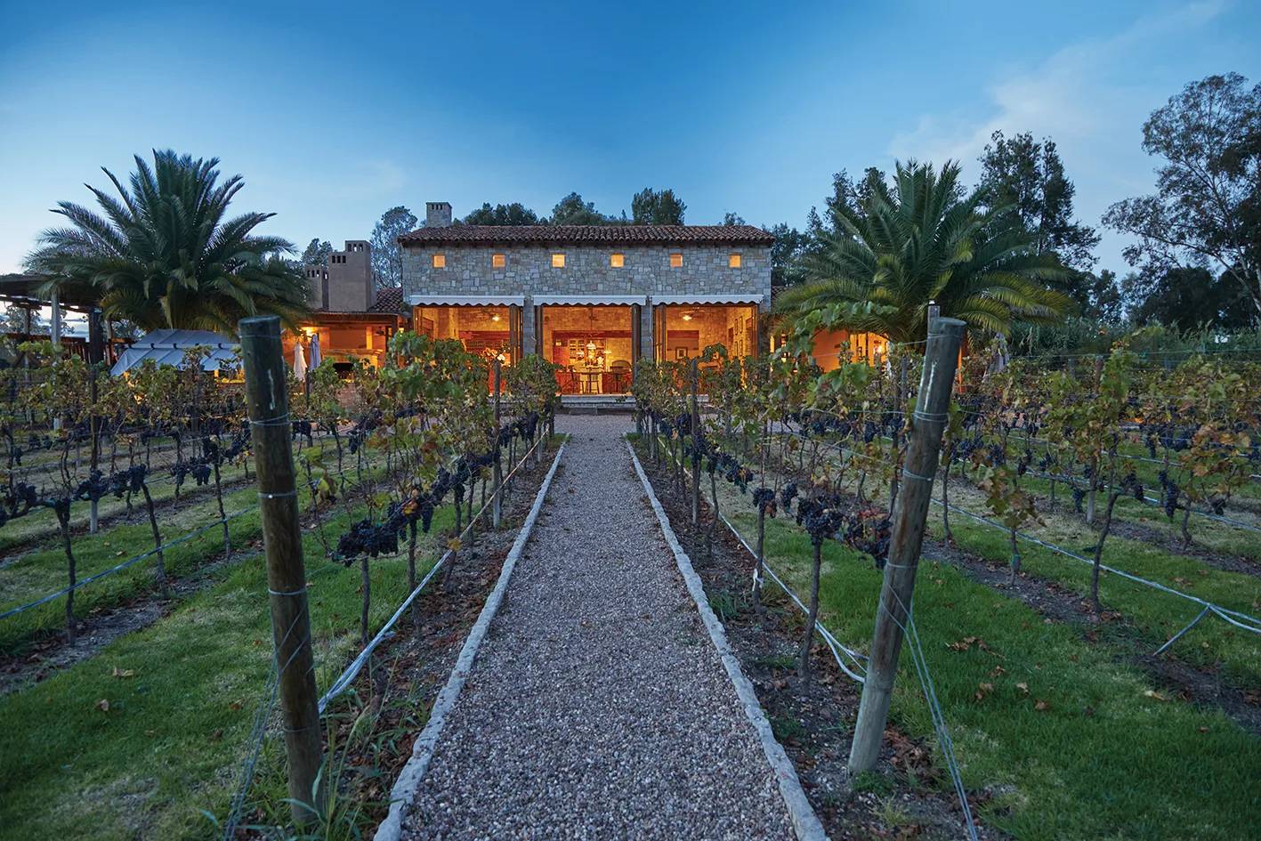 La Sinfonía Sensorial de la Ruta del Vino en Guanajuato: Más Allá de la Copa