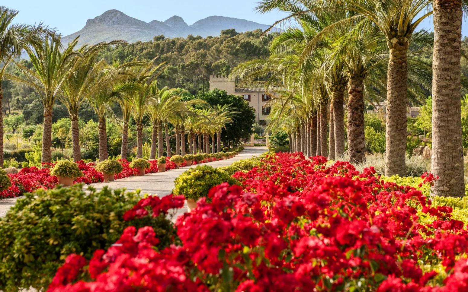 Castell Son Claret: la elegancia más serena de Mallorca
