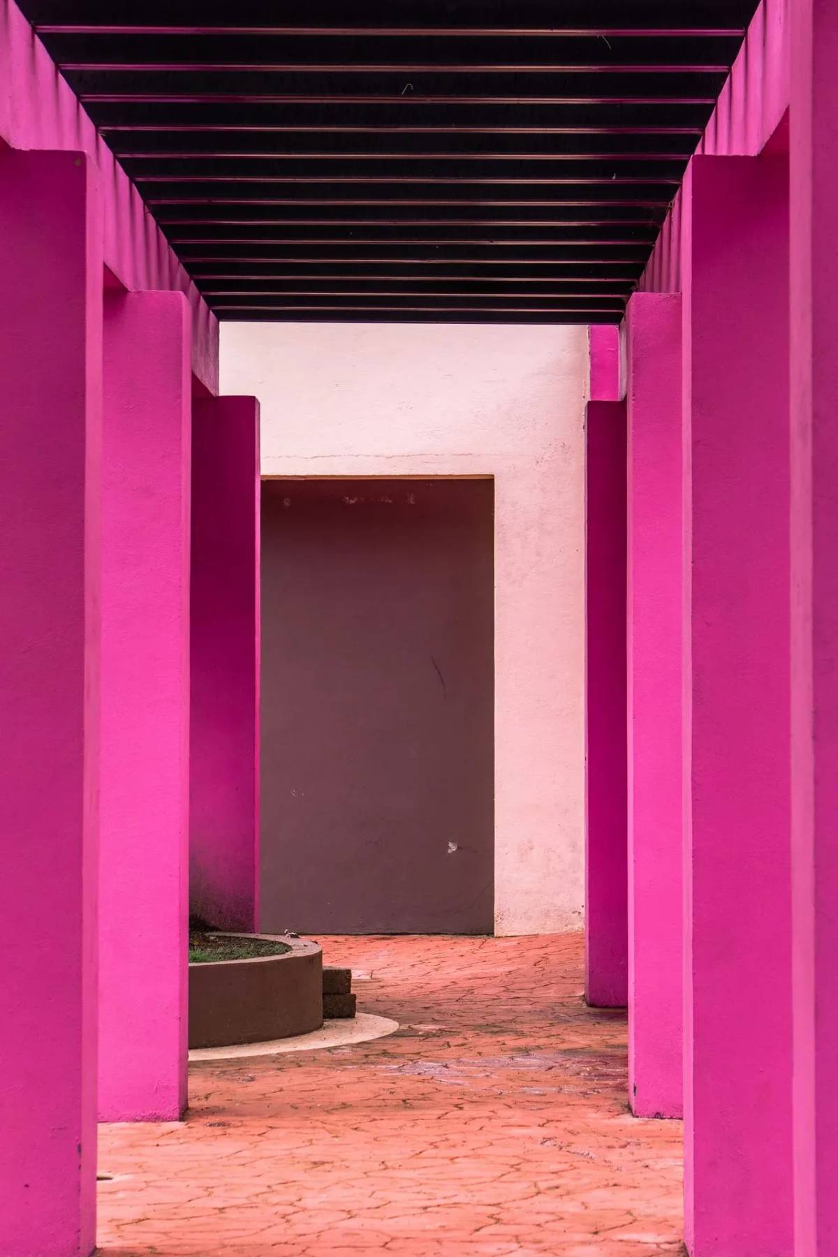 Imagen del artículo