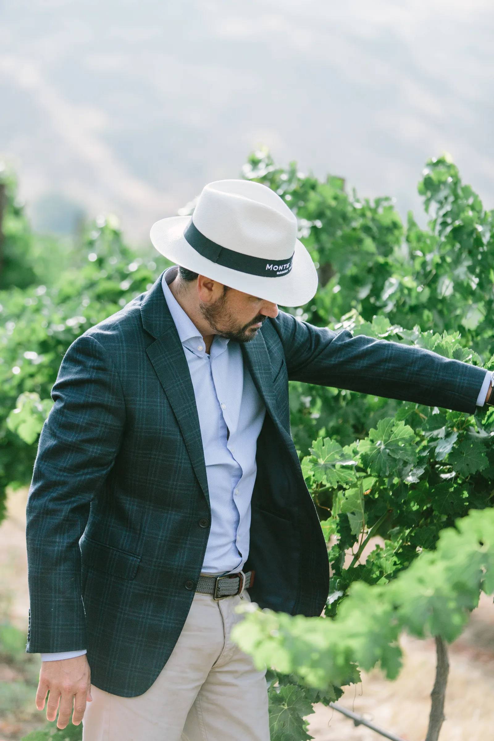 La poética de la escasez: El Valle de Guadalupe como laboratorio del futuro