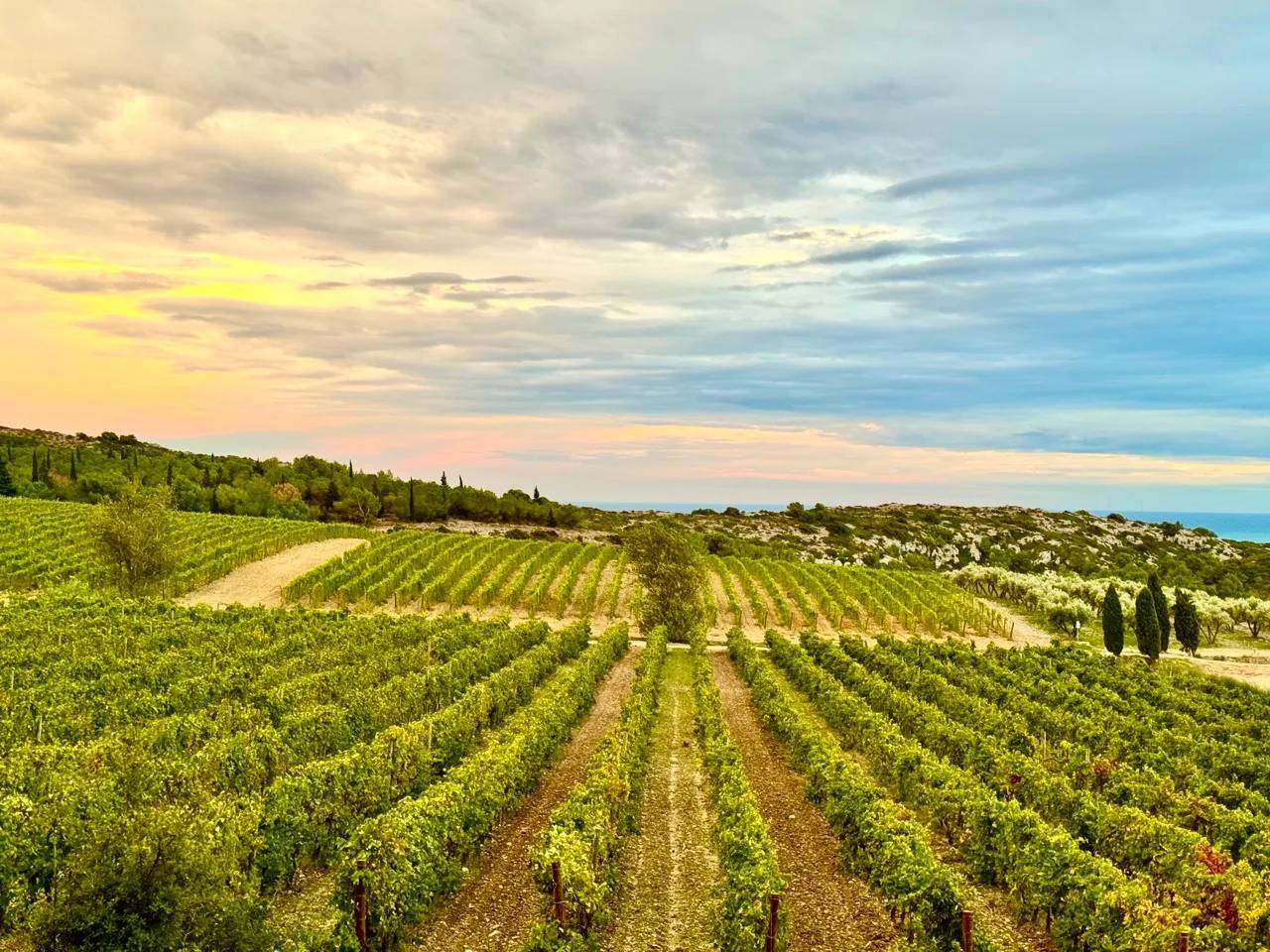 Château L’Hospitalet Wine Resort: el arte de vivir entre viñedos y Mediterráneo