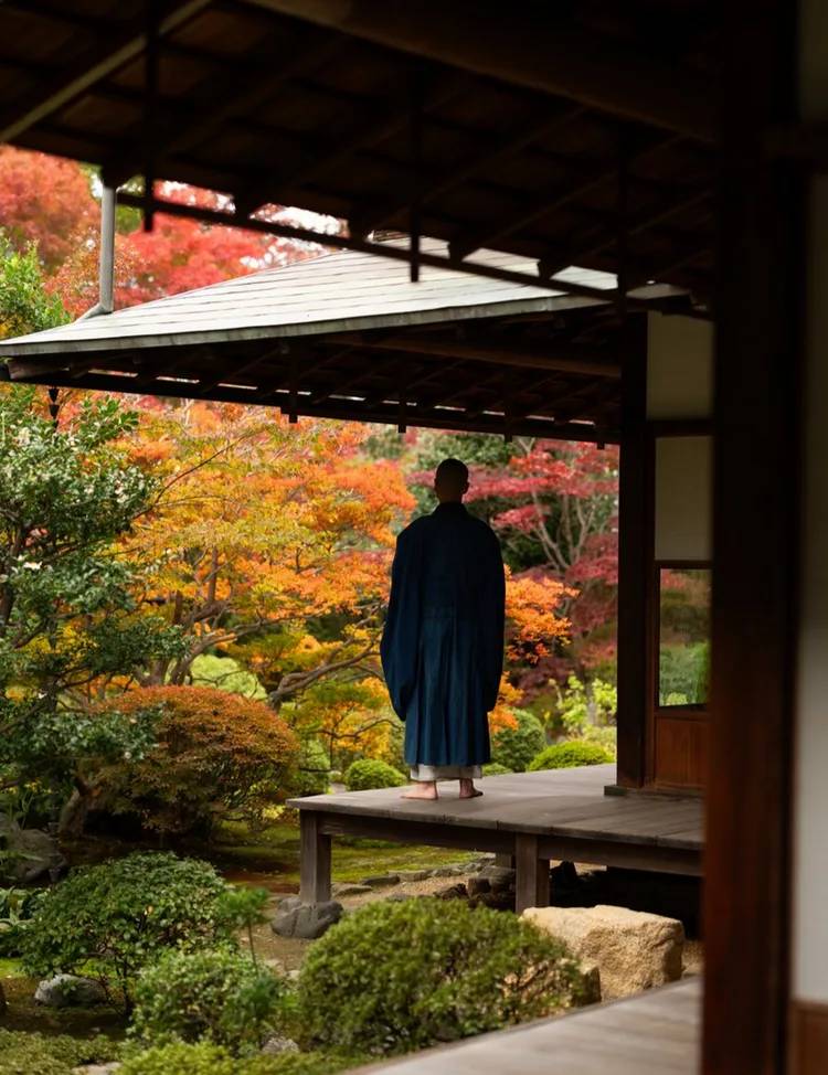 Aman Kyoto y el ritmo del bosque japonés